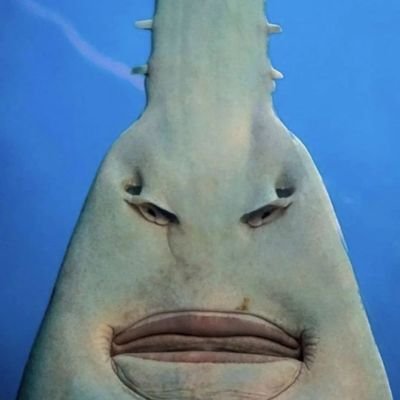 weirdradium's profile picture. 