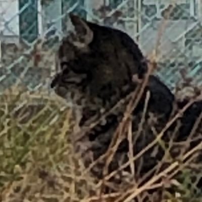 umeboshi_tyuu's profile picture. 仕事のストレスからX廃人と化したROM専(成人済)です。 好きなジャンルやカプ等は慎重を期して敢えて書きません。無言フォローすみません🙇ひっそり応援させていただいてます。とりあえず今は、令和の🟥のメロさと🟩のイケおじの湿度に持ってかれてます🙃