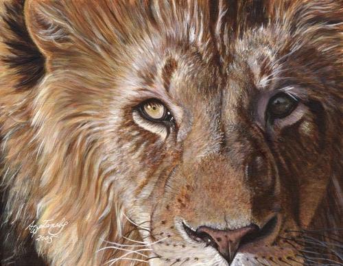 _lrajput's profile picture. Lodhi Rajput is a Hindu community in India. The name Lodhi stands for followers of Lodheshwar which means Lord Shiva. He is one of the three main Hindu Gods.