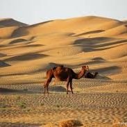 Sajid Mir Baloch (@sajidmirbaloch5) 's Twitter Profile Photo Sajid Mir Baloch (@sajidmirbaloch5) 's Twitter Profile Photo
