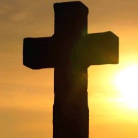 Matos (@jfatmatos) 's Twitter Profile