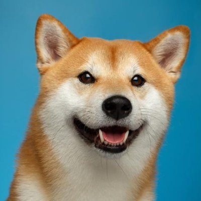Dogecoin 🌎 Node federation. World Mobile Chain validators scattered across the 🟡 system ⚡️ internet through the sharing economy. $WMT $DOGE $ADA.