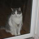 Sharon Pinney - @skinnypinney - Twitter