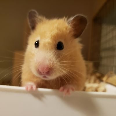 IH06040825's profile picture. 唯我独尊