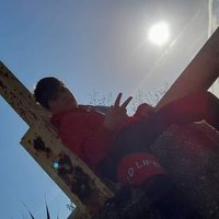 david (@david1198765) 's Twitter Profile