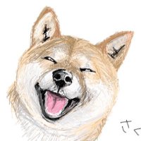 さくら (@sakura_to_leon) 's Twitter Profile