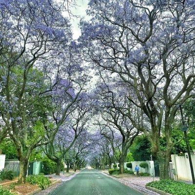 BruceYoungrsa's profile picture. 