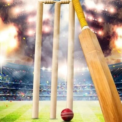 vimal3605's profile picture. 