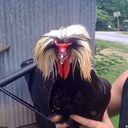 logan cobb - @logancobb75 - Twitter