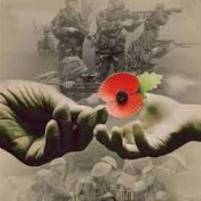 Wellette's profile picture. 