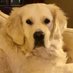 Cheri Riddell (@cheri_riddell) Twitter profile photo Cheri Riddell (@cheri_riddell) Twitter profile photo
