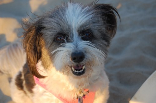 wondawomyn's profile picture. teacher, auntie