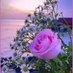 shahid hussain (@shahidh98543408) Twitter profile photo shahid hussain (@shahidh98543408) Twitter profile photo