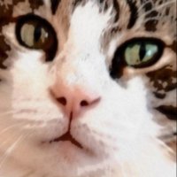 Tina🇮🇹 (@claudiantin) 's Twitter Profile Photo Tina🇮🇹 (@claudiantin) 's Twitter Profile Photo