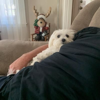 Vin51501's profile picture. Love dogs vastly better than people