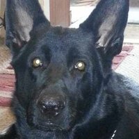 Jerry Carroll (@jcarr911) 's Twitter Profile Photo