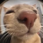 heheさんのプロフィール画像