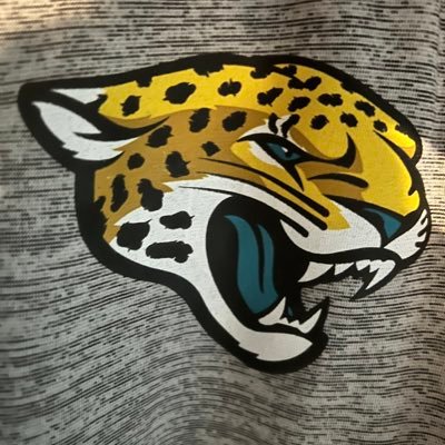 Born in Palm Valley, Fl.  True Jacksonville Jaguar(through it all,EVEN 2021 season) fan. Bleed Orange and Blue Go Gators.  TREVOR IS GONNA BE in the HOF.