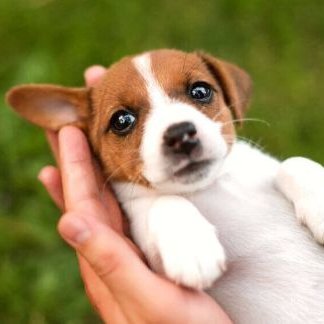 annaniki7's profile picture. техник по эксплуатации