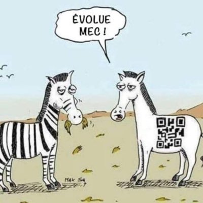 Peterzozo's profile picture. Everything woke turns to shit