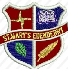 Official Page of St. Mary's Secondary School, Edenderry, Co. Offaly. @Microsoft & @Scifest4STEM School. All followers welcome. Instagram: @SMESecondary