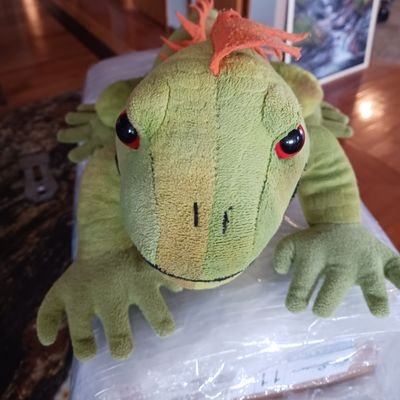 SixPentz's profile picture. 