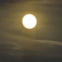 Krishna Kumar (@kkrun) 's Twitter Profile
