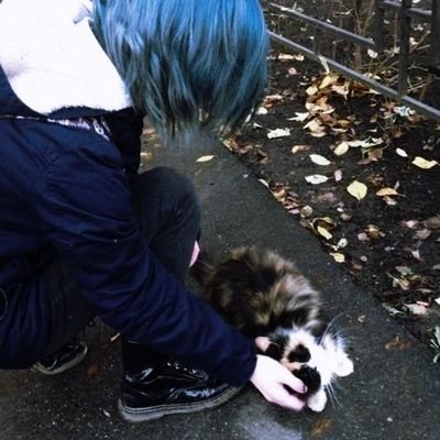 Unknown nonbinary, SEO specialist, just a little bit blue💙