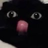 acpeachypie's profile picture. kayla • she/her • 31 • casual variety twitch affiliate 🥄✨
