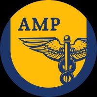 AMP Honors Program(@AMP_Honors) 's Twitter Profile Photo