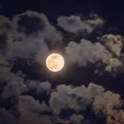 mym_t69's profile picture. تو چنان در دل من رفته که جان در بدنی ❤️ married 💍