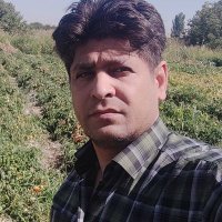 محمد خوشگله (@mohammad21799) 's Twitter Profile