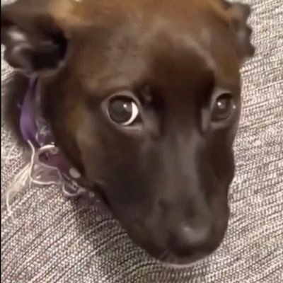 DCGOPTreas's profile picture. Door County GOP Treasurer