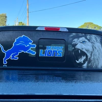 Born a Lions Fan when the Lions are the Champions! Still a Believer…. Lions can do it!