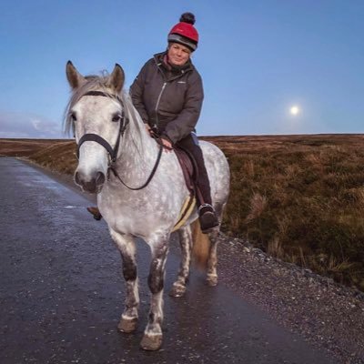 Hill farming alongside a team of hard working dogs, a beautiful Highland Pony and a long suffering husband. Celebrating living life in beautiful Sutherland.