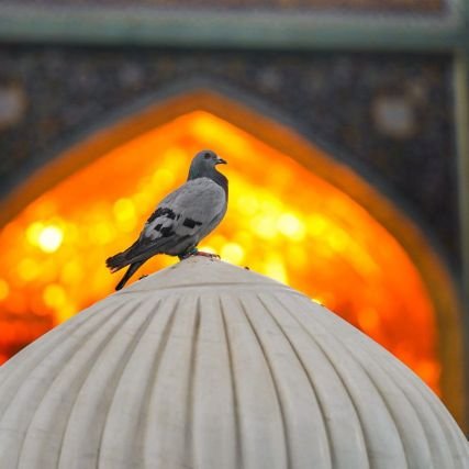 پزشک، مادر، همسر
ان شاالله ولایتمدار و منتظر المهدی
.....یا مهدی (عج)🌹❤️ تو را من چشم در راهم🌹
إِن تَنصُرُواْ ٱللَّهَ يَنصُرۡكُمۡ وَيُثَبِّتۡ أَقۡدَامَكُمۡ