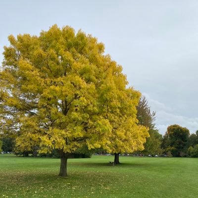 epsomecon's profile picture. 