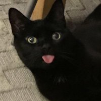 ok (@wishinsolidao) 's Twitter Profile