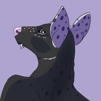 𝙲𝚕𝚊𝚜𝚑さんのプロフィール画像