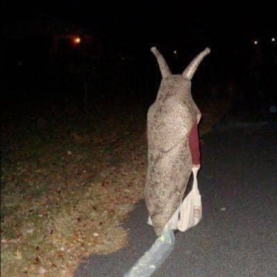 Slugworth0007's profile picture. I yam what I yam