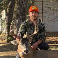 Adam Hermanson (@adamh4411) 's Twitter Profile