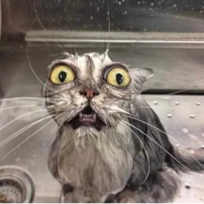 BigDennisboy's profile picture. 