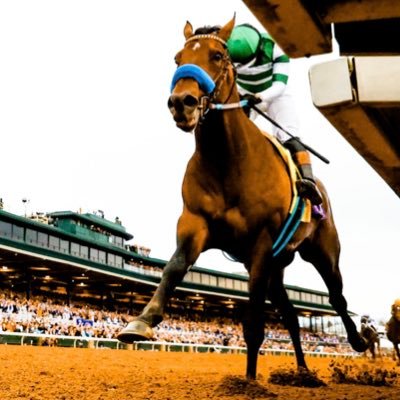 dvhmay's profile picture. 