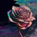 𝙃𝙔𝙋𝙀𝙍𝙇𝙊𝙍𝙀 (@hyperlorexyz) Twitter profile photo 𝙃𝙔𝙋𝙀𝙍𝙇𝙊𝙍𝙀 (@hyperlorexyz) Twitter profile photo