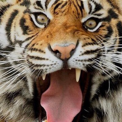 BFAJ99's profile picture. End ONE PARTY RULE & insane agenda by Democrats. End rampart crime, lock up criminals! Make us ENERGY INDEPENDENT again. We don’t want to become California!