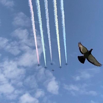 7K1FWE_'s profile picture. 小生69年になりました。これからもアマチュア無線に力を入れ頑張って行きたいと思っております。何卒御指導御鞭撻のほど宜しくお願いします。