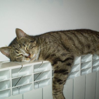 AndrzejBM's profile picture. 