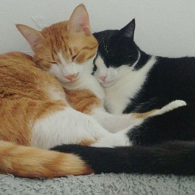 itsmarcgreen's profile picture. founding ai engineer https://t.co/dJKBFlq4oI,
15 years soft eng,
11 years cybersec