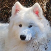 Mr. Hunter (@methodical65) 's Twitter Profile