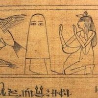 botterbotter(ボタボタ) (@botterrobo) 's Twitter Profile